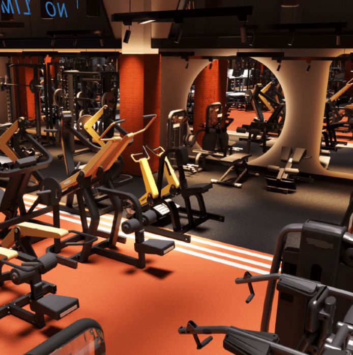 Абонимент годовой в Фитнес Тэмпл