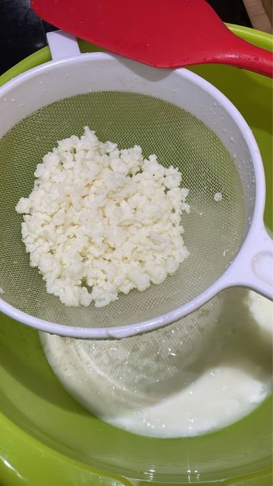 Kefir de lapte sau ciuperca tibetana