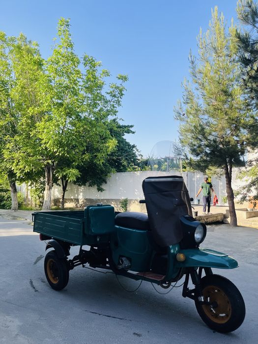 Муравей янги холатда