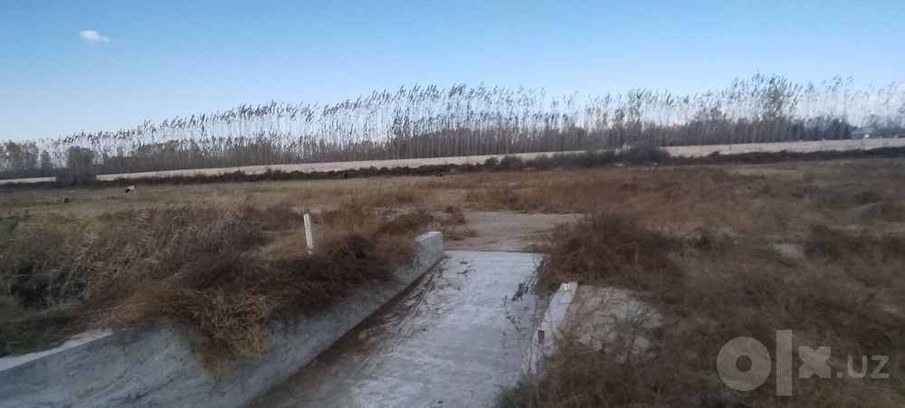 Фаргона вилояти Тошлок туманида жойлашган 4 гектарли молхона бино иншо