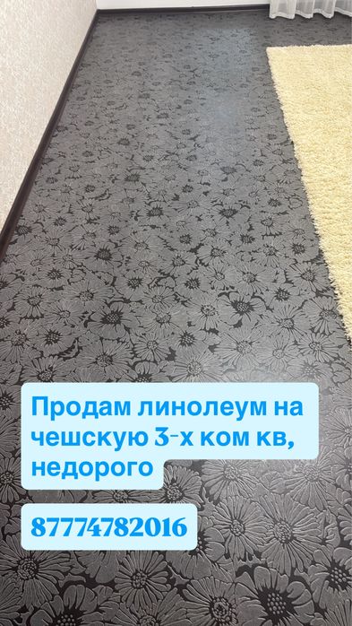 Линолеум, теплая, красивая