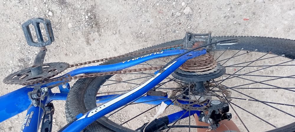 Велик DUSHIMA500