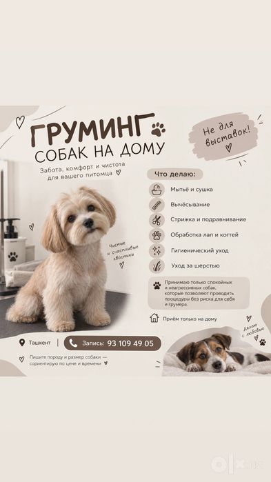 груминг для собак