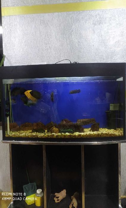 Продается аквариум 180 литров в полном комплекте