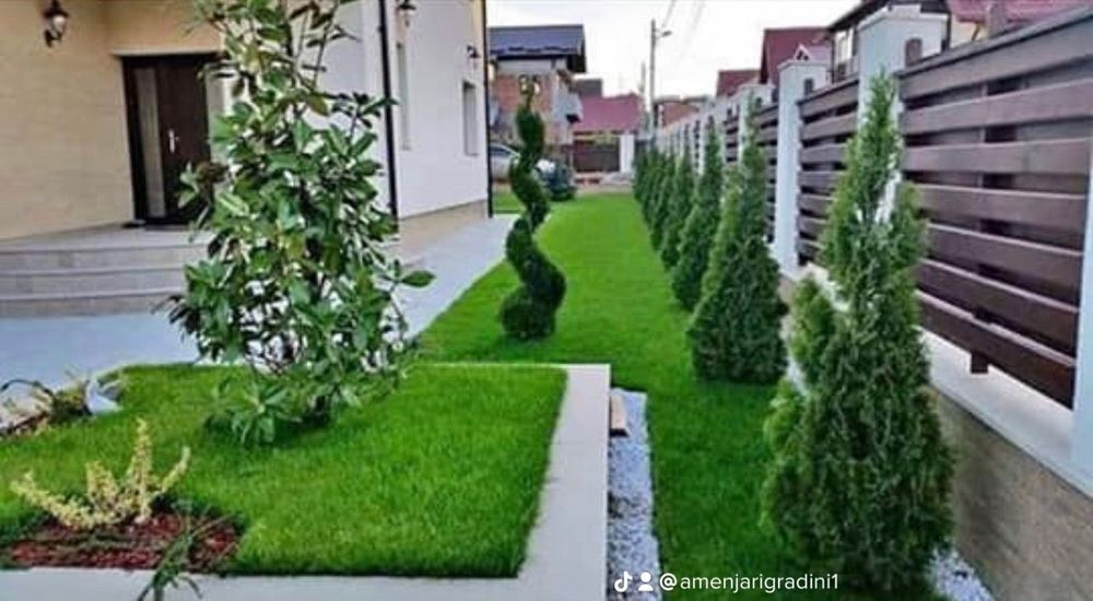 Amenajări grădini cu plante ornamentale