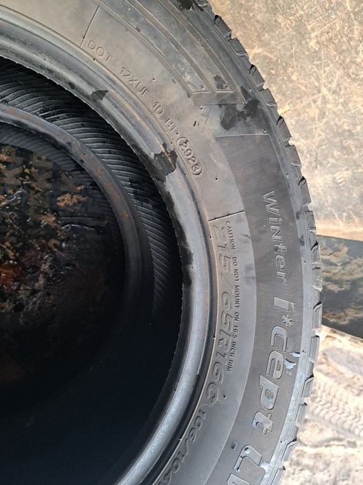 Caucucuri iarna  ceuri