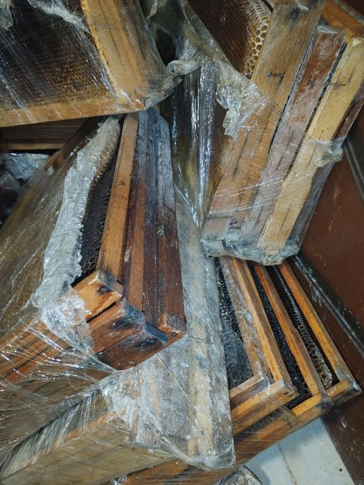 Суш сотилади арзон