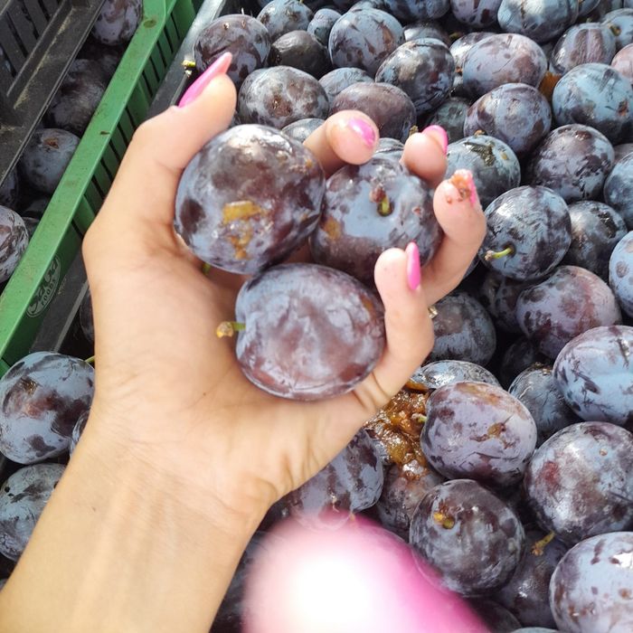 Vand prune de tuica