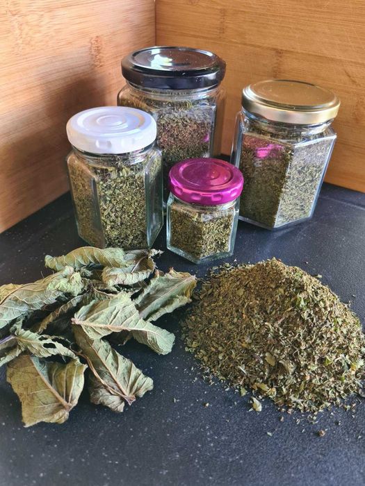 Menta bio - condiment pentru restaurante, patiserii si infuzie ceaiuri