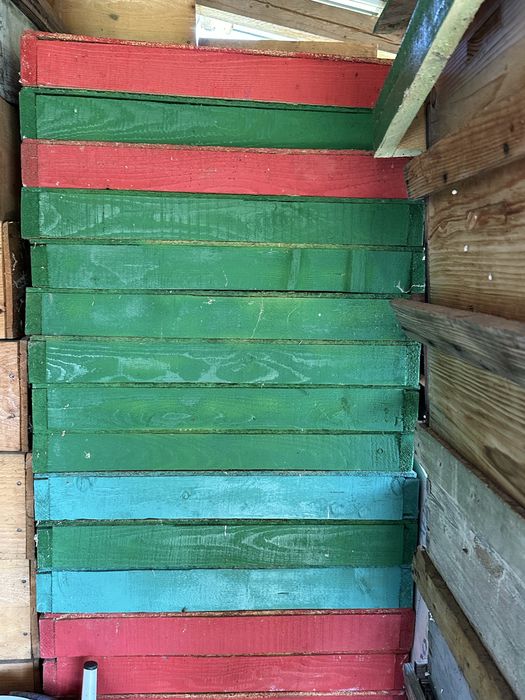 Lazi pentru familii de albine