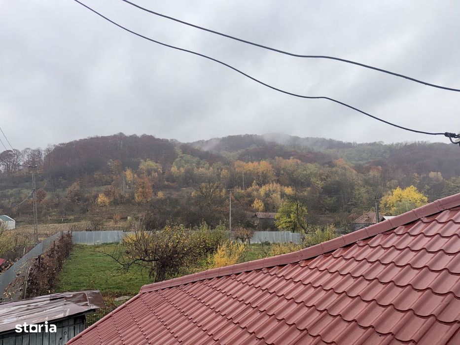 Casa noua | 5600 mp teren | Livada|  Golesti - Valcea