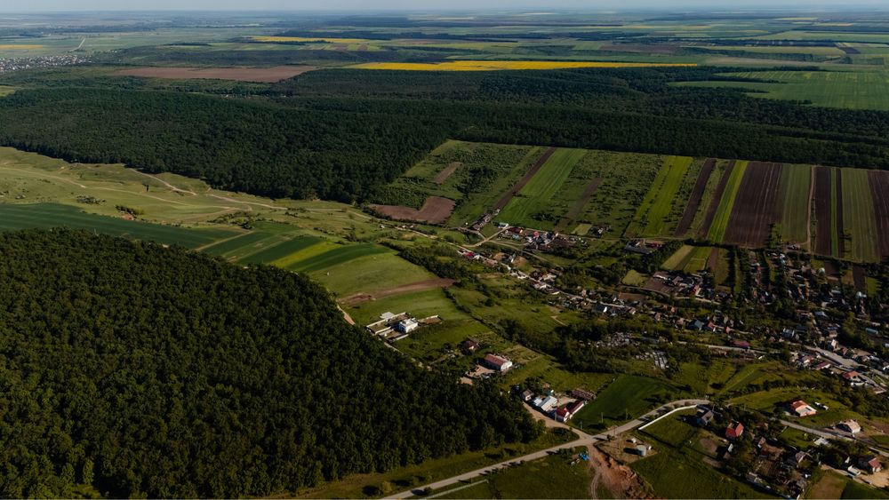 Vand Teren Intravilan Palilula Podari