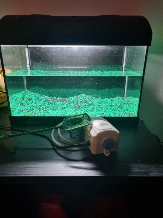 Acvariu Diversa 25 l