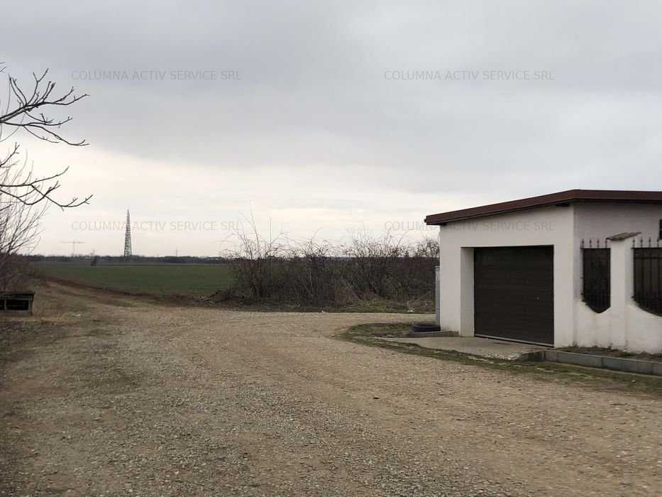 Balotesti Albinelor  loturi 1100mp 33 e/mpmp