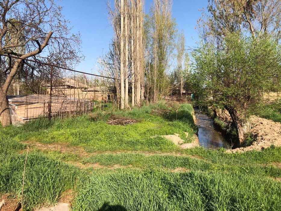 Yer sotiladi toytepada , dacha 25sotx