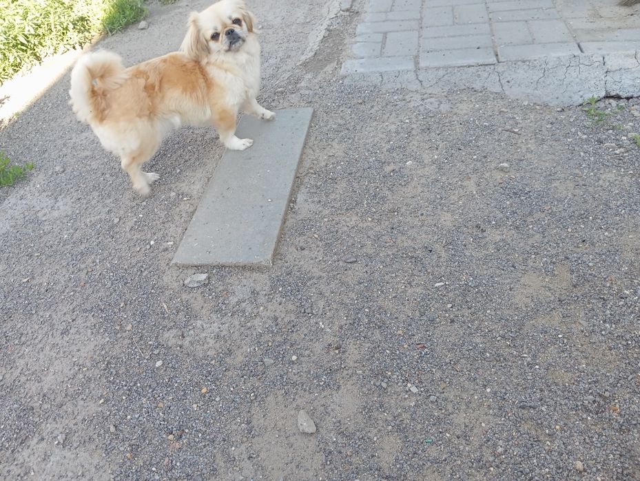 Ищем симпатичного парня