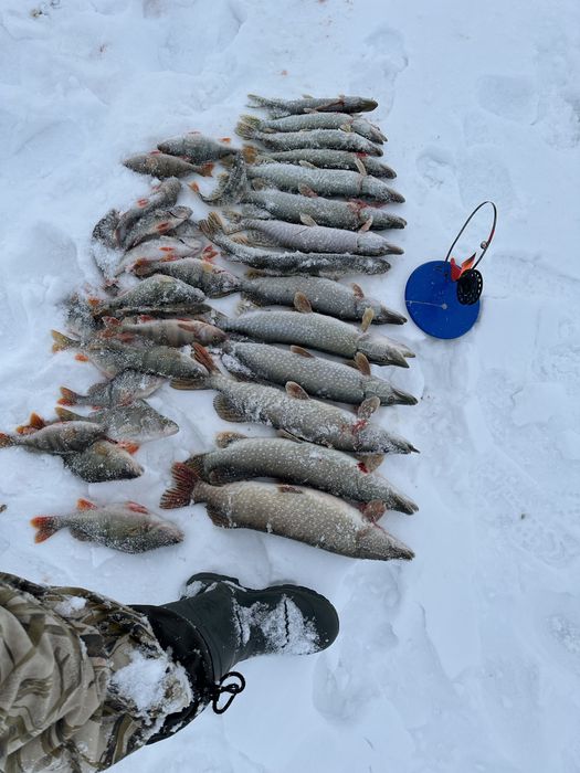 Ледобур Тонар Торнада 150