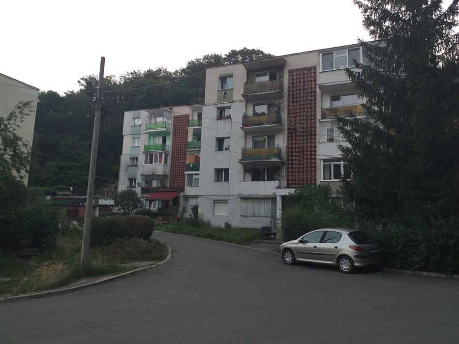 Apartament  3 camere  conf.2 - str.Plopilor 49