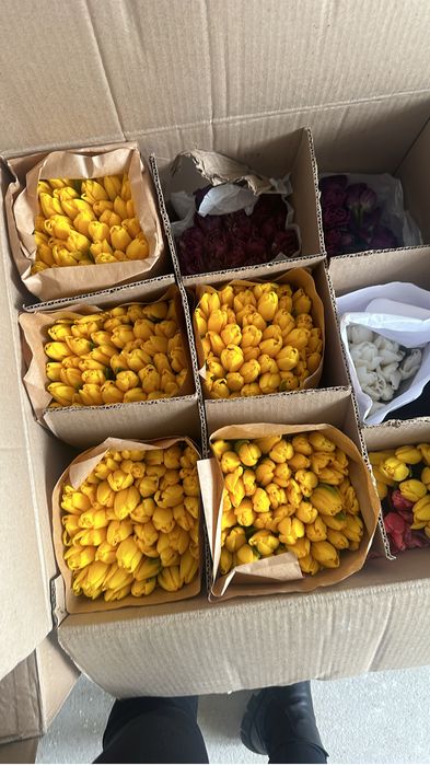 тюльпан корпоративные заказы