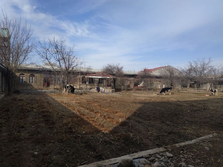 Uy sotiladi. Продаётся дом. 27сотки. Бардамкул.