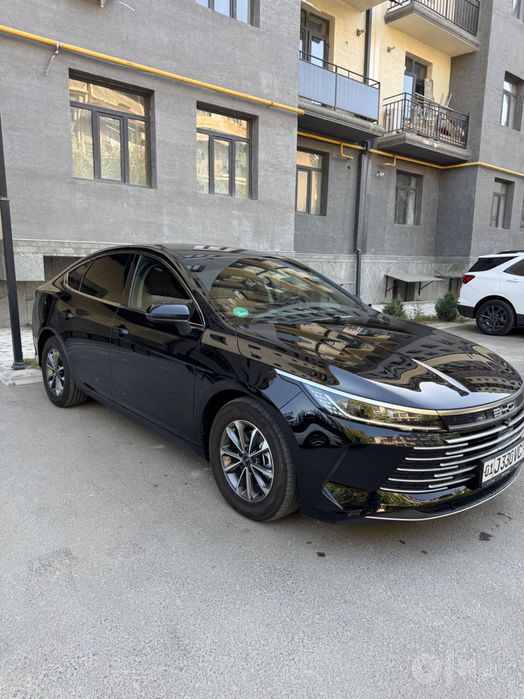 BYD Chazor 1-pozitsiya sotiladi