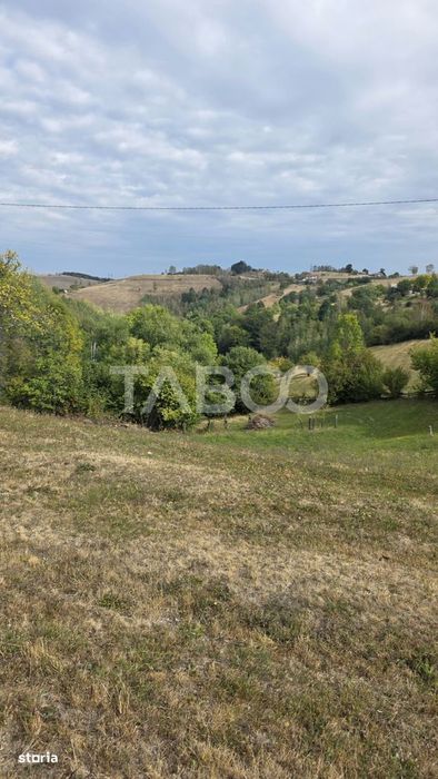 Teren de vanzare 8.300 mp Plesi Loman judetul Alba
