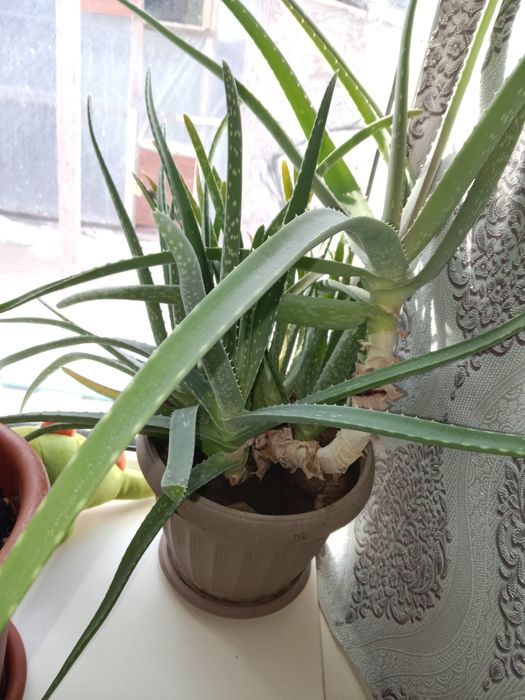 Продам что на фото