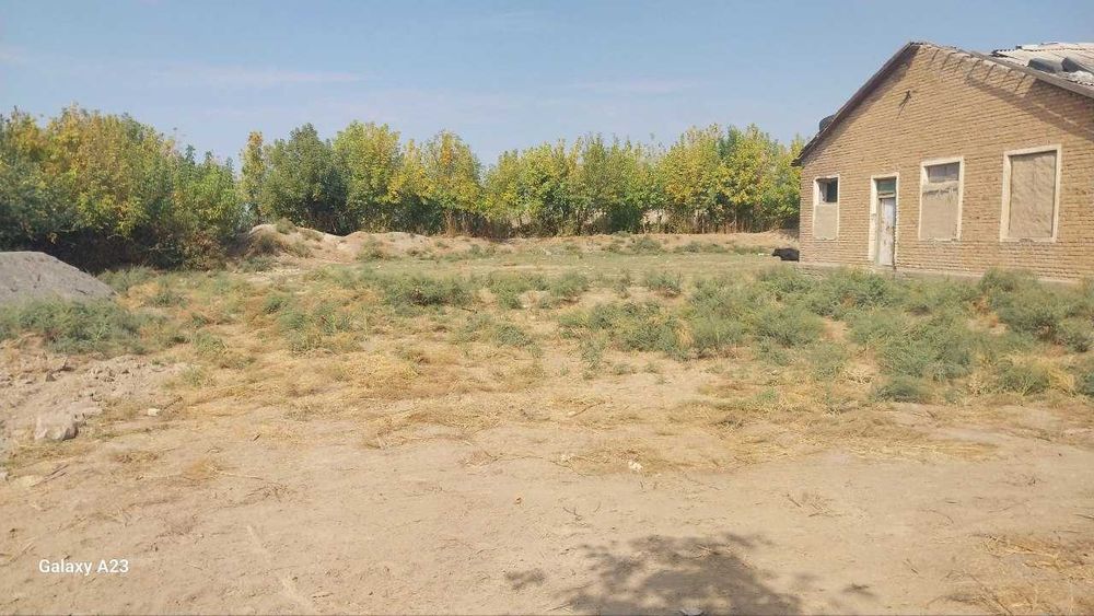 Koʻchmas mulk xizmat uyi va ayvon binosi