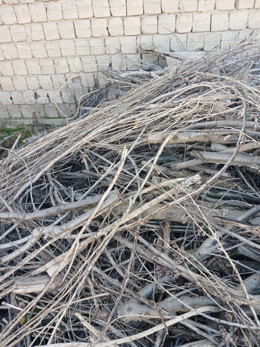 Oʻtim sotiladi продаётся дрова