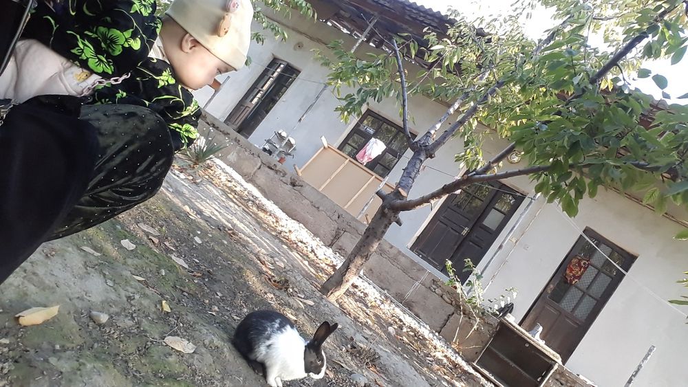 Qizlarga kvartira ijaraga arzon