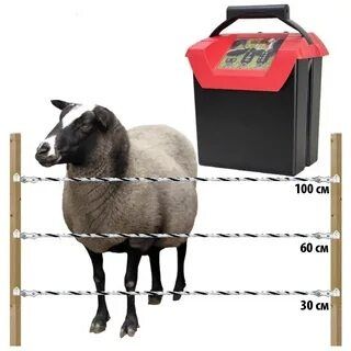 Электропастух ( Электроизгородь) для КРС