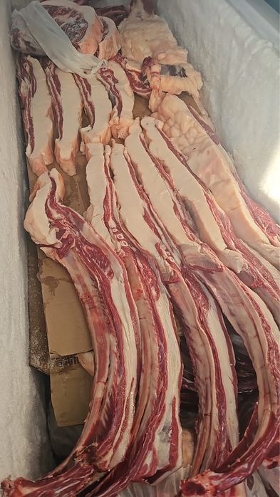 Продам согым сирактап