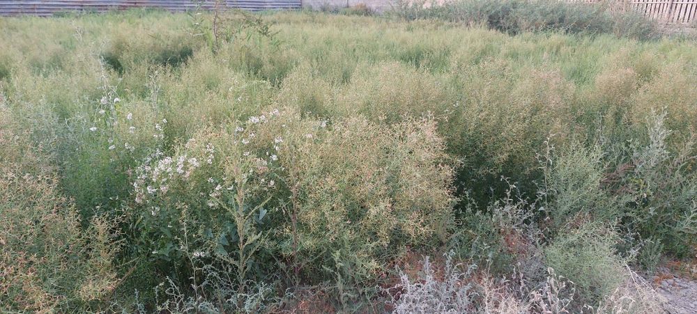 Догги стиліндегі жеке порно фото