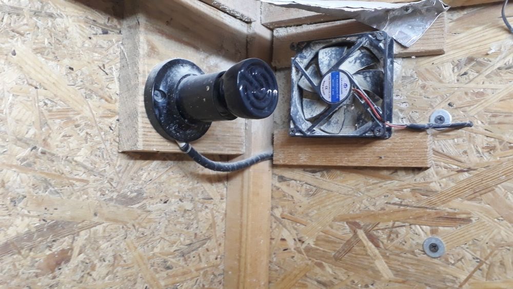 Брудер для цеплят