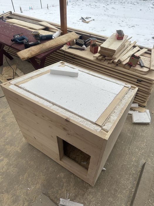 Cuşcă Câine Izolată Talie Mare lemn masiv