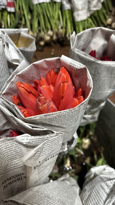 Тюлпаны (голландские) свежие!!!