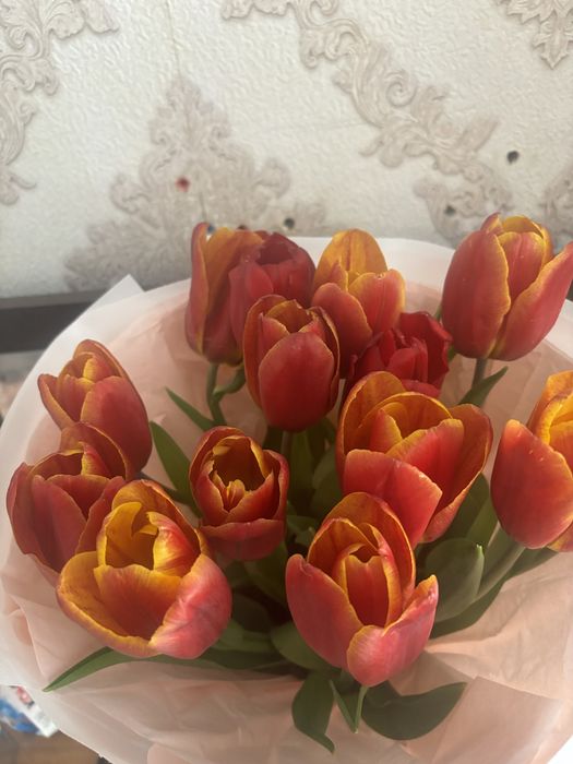 Продам  тюльпаны