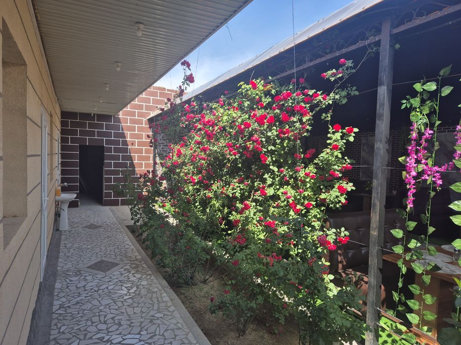 Кафе действуюшая