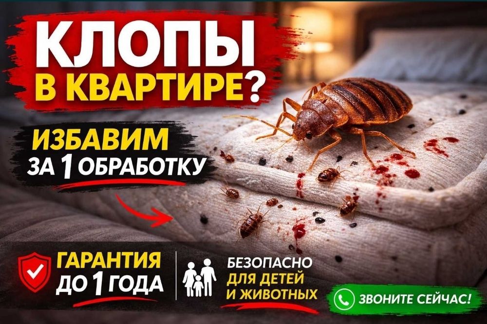 Уничтожение клопов и тараканов