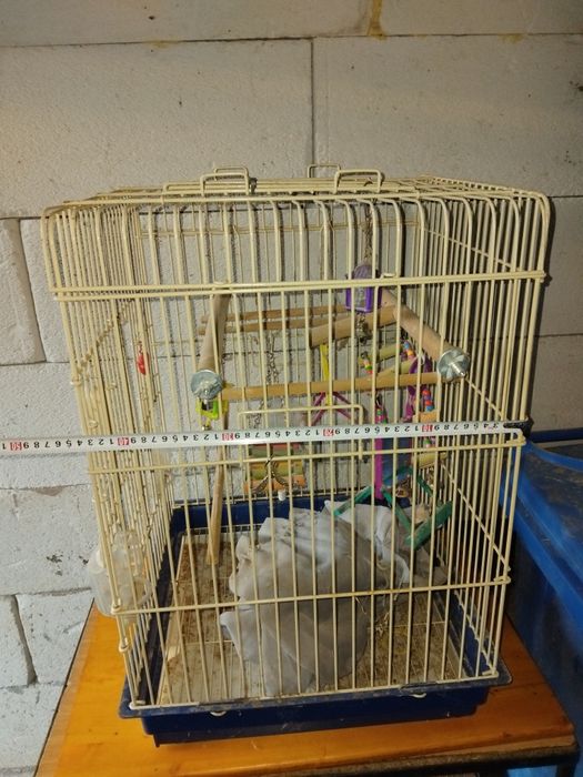 Colivie pentru perusi ,agapornis,micul alexandru