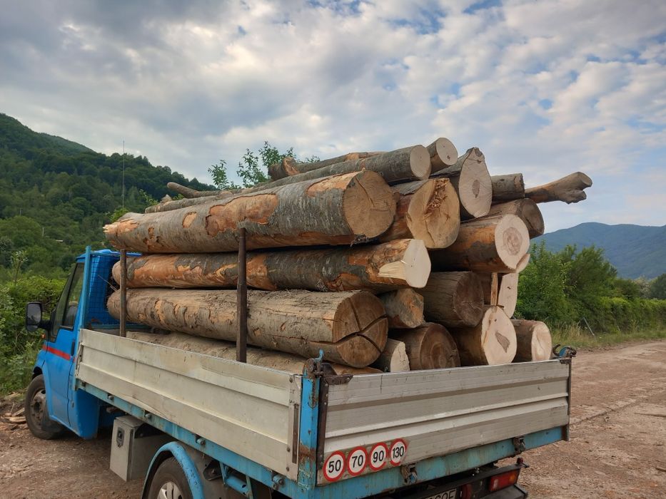 Lemn de foc fag buștean paleti de ceuri și deșeuri de fag