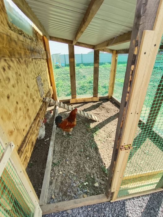 Курятник продам изготовлю