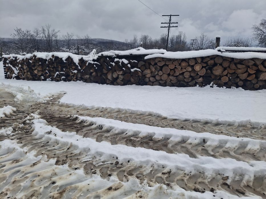 Vand porumb si lemne