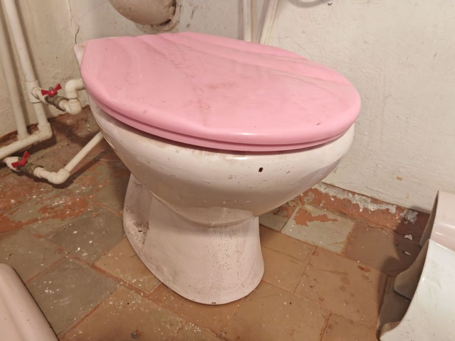 Сантехника. Набор унитаз и тюльпан