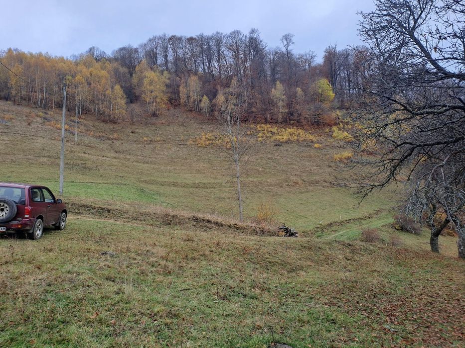Vând teren+gospodărie
