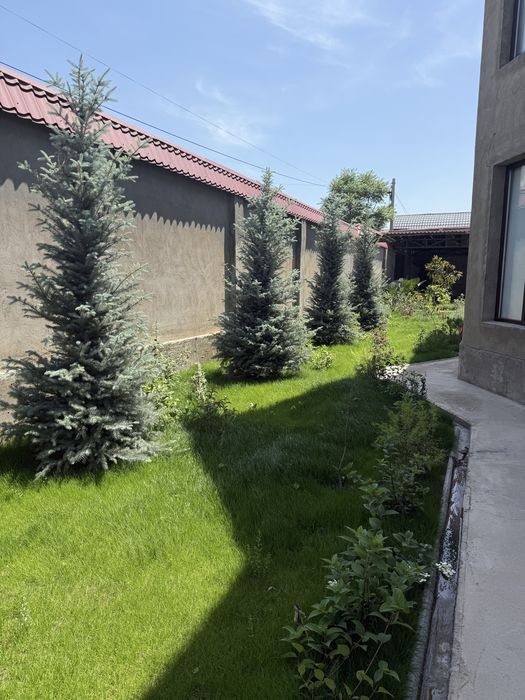 Газон газон газон