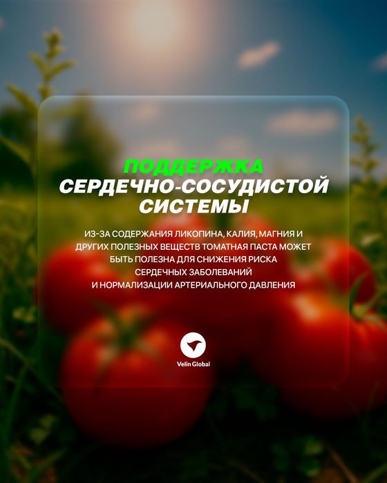 Томатная паста консервированная 800гр