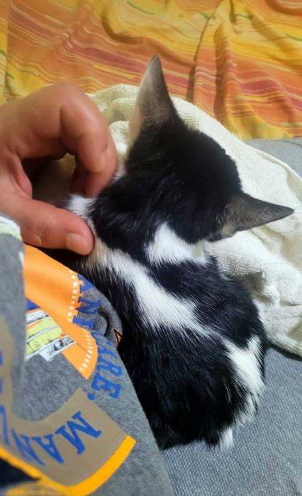 Doua surori spre adoptie