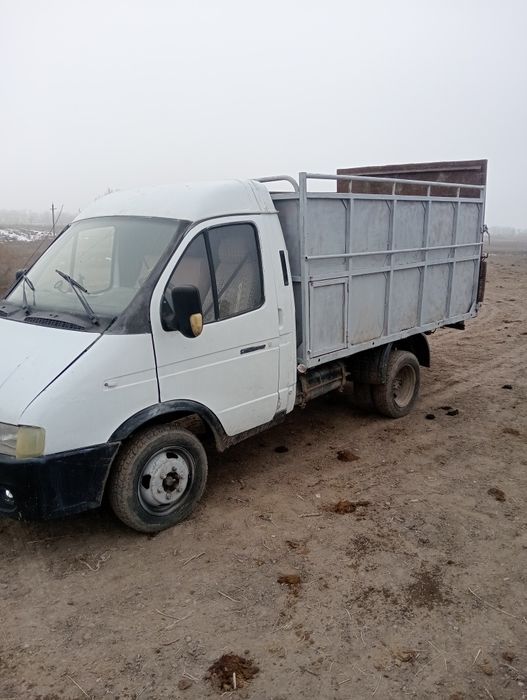 Газел сатылады траппен