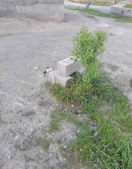 Uchastka sotiladi gortda joylashgan